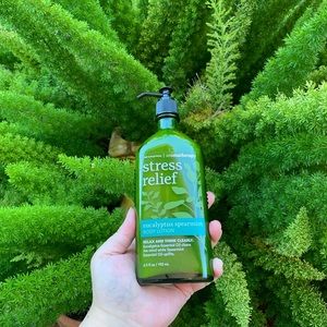 Aromatherapy eucalyptus spearmint body lotion